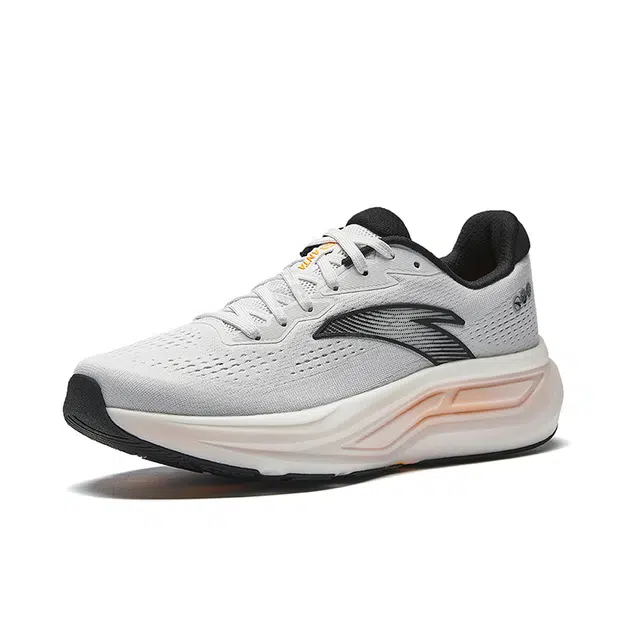 Anta 6