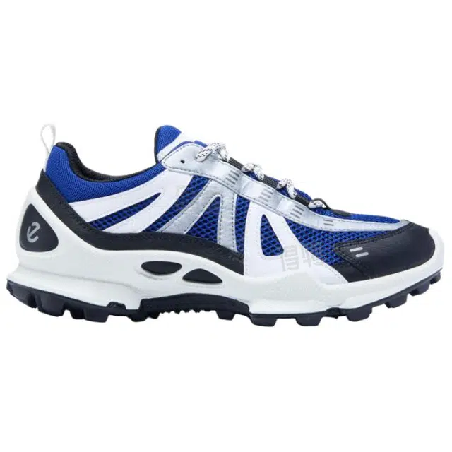 ecco Biom C Trail