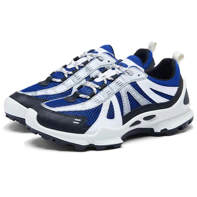 ecco Biom C Trail
