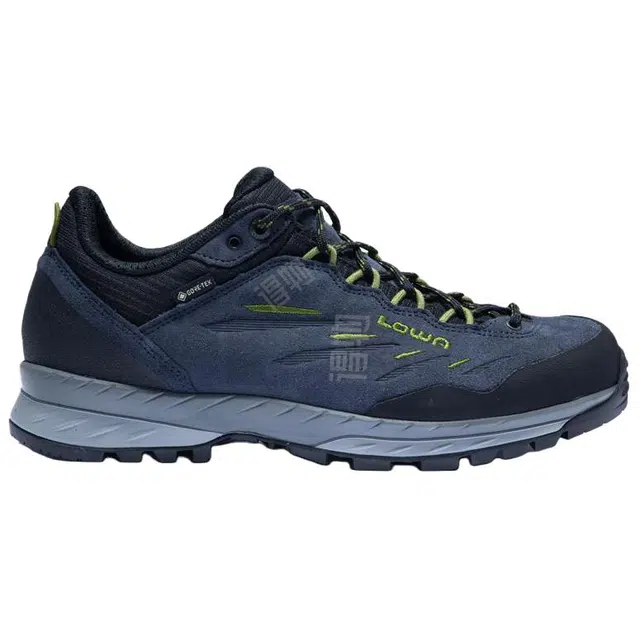Lowa Delago GTX