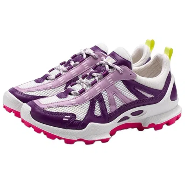ecco Biom C Trail