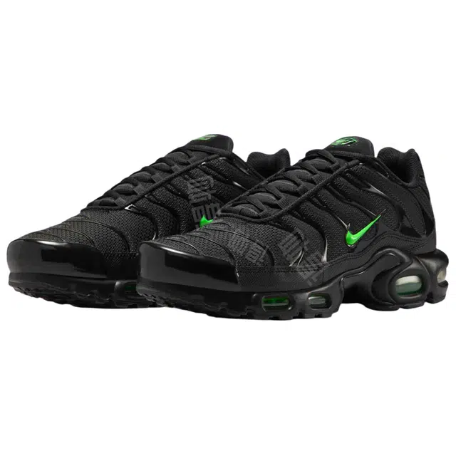 Nike Air Max Plus