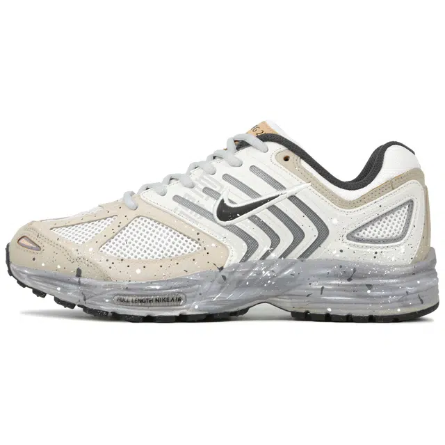 Nike Air Pegasus 2005