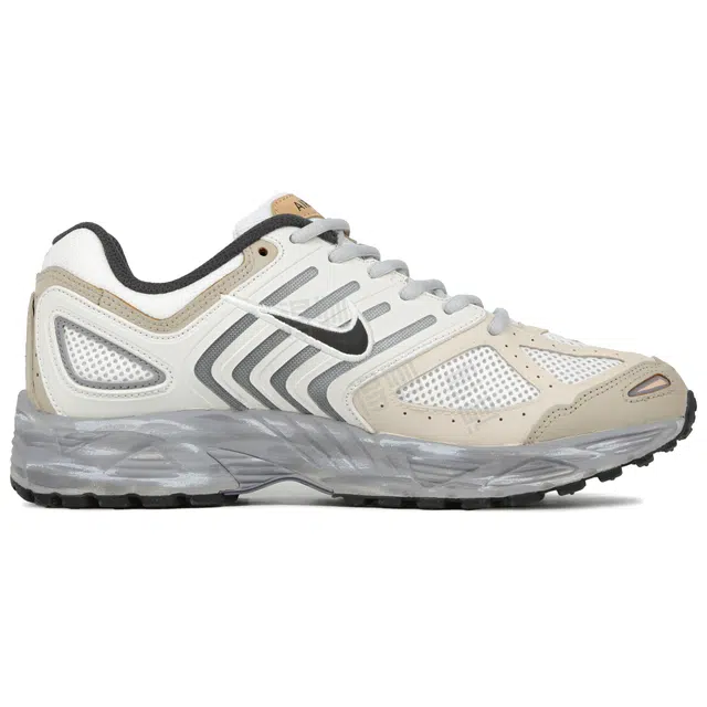 Nike Air Pegasus 2005