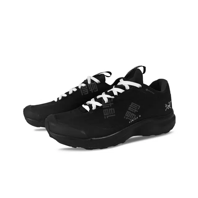Arcteryx AERIOS FL GTX