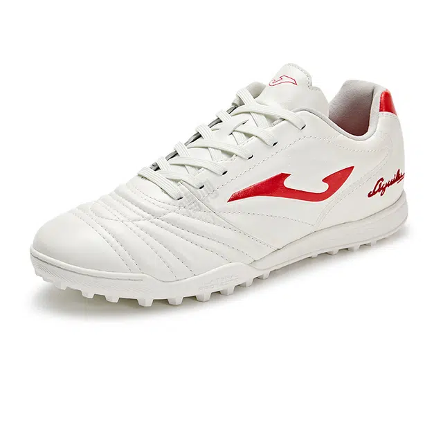 JOMA aguila