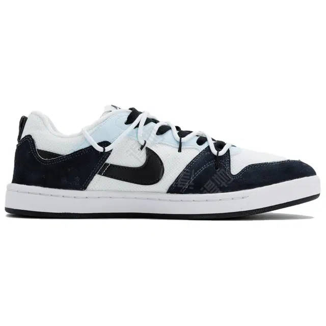 Nike SB Alleyoop