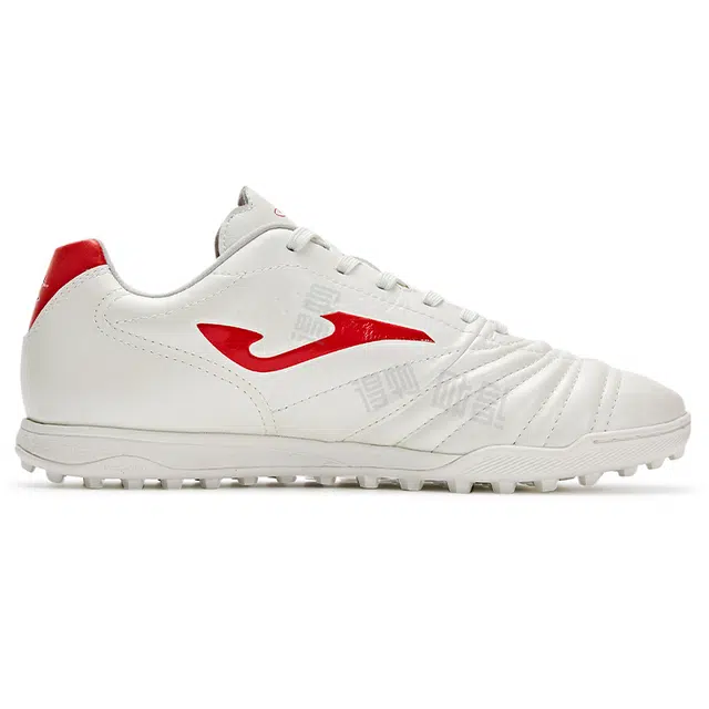 JOMA aguila
