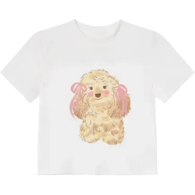 PLANE DRIFT T