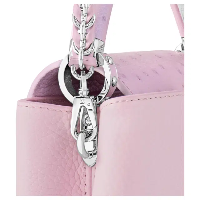 LOUIS VUITTON Capucines