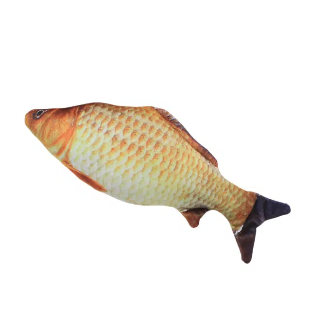 20cm