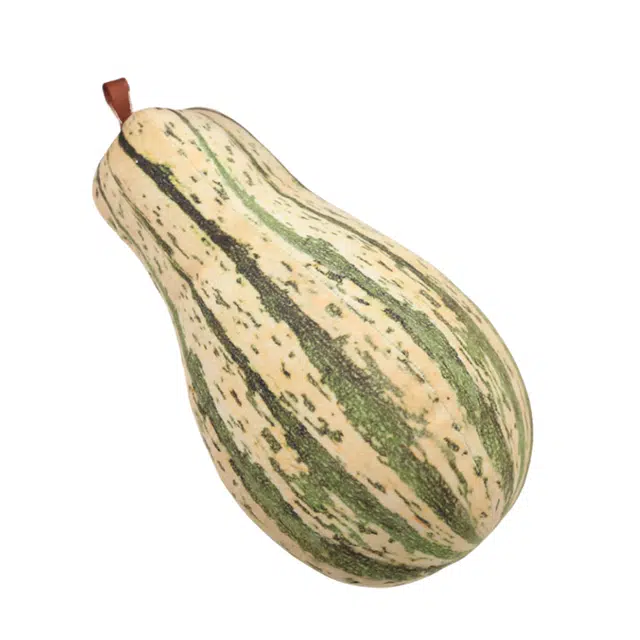 20cm