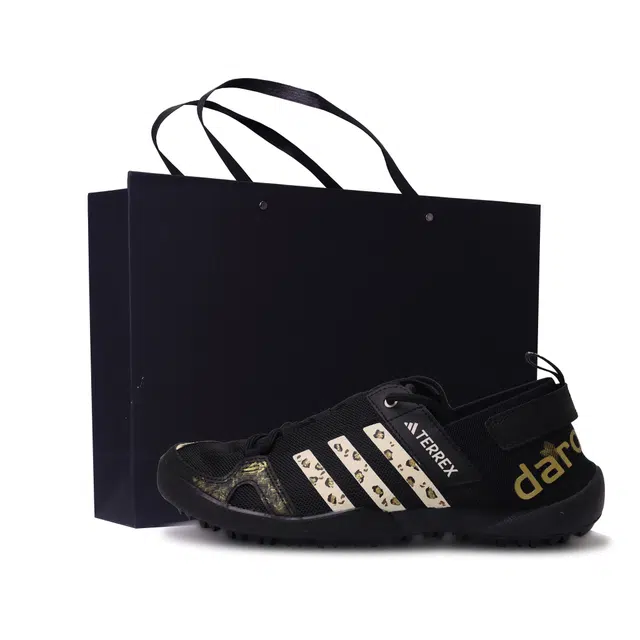 adidas Terrex Daroga 1