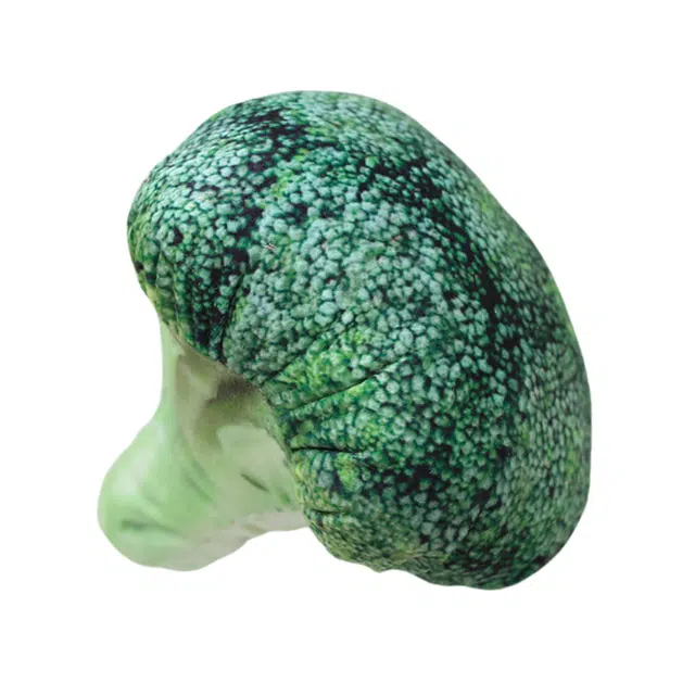20cm