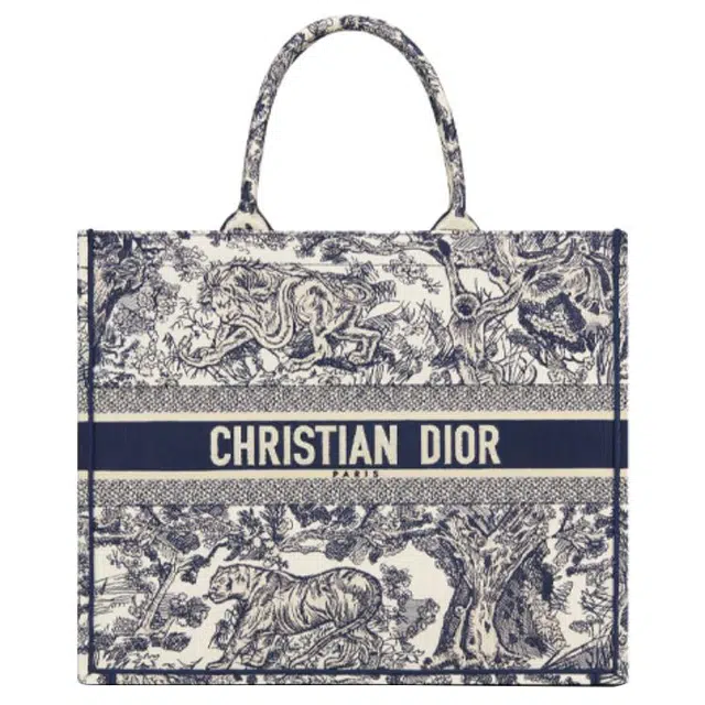 DIOR BookTote Tote