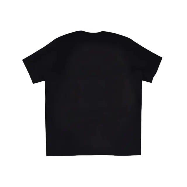 Arcteryx LogoT