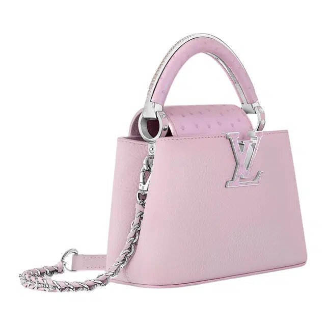 LOUIS VUITTON Capucines