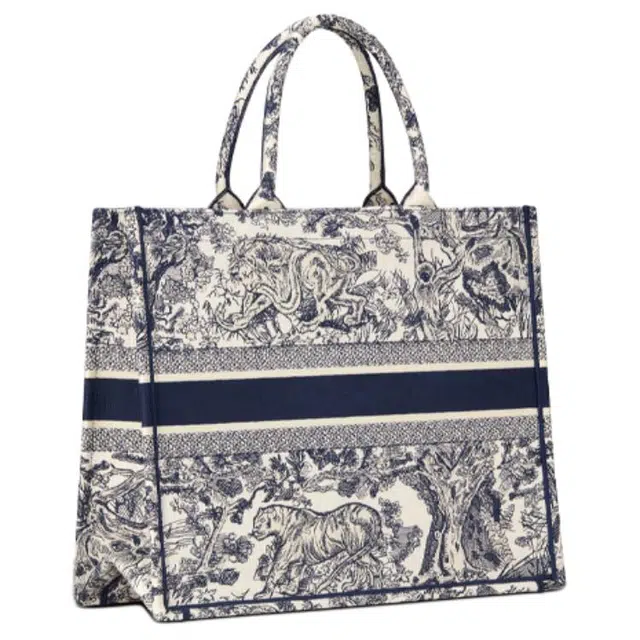 DIOR BookTote Tote