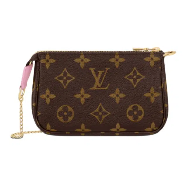 LOUIS VUITTON Pochette Accessories