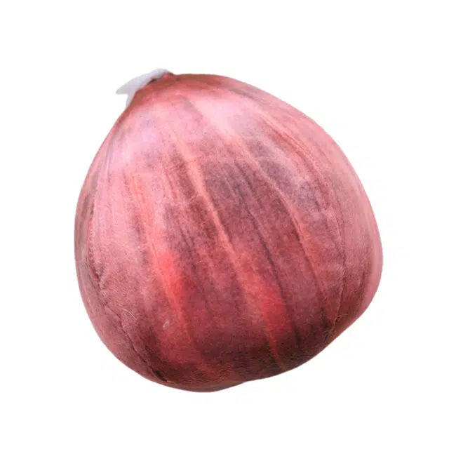20cm