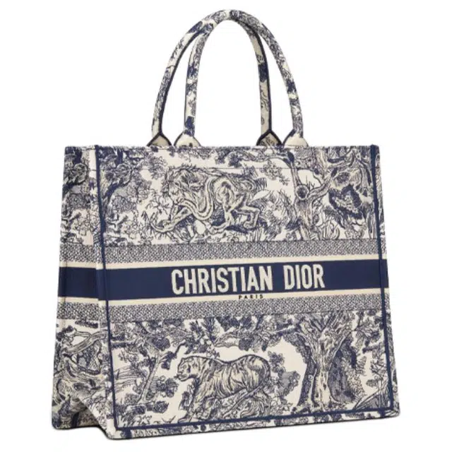 DIOR BookTote Tote