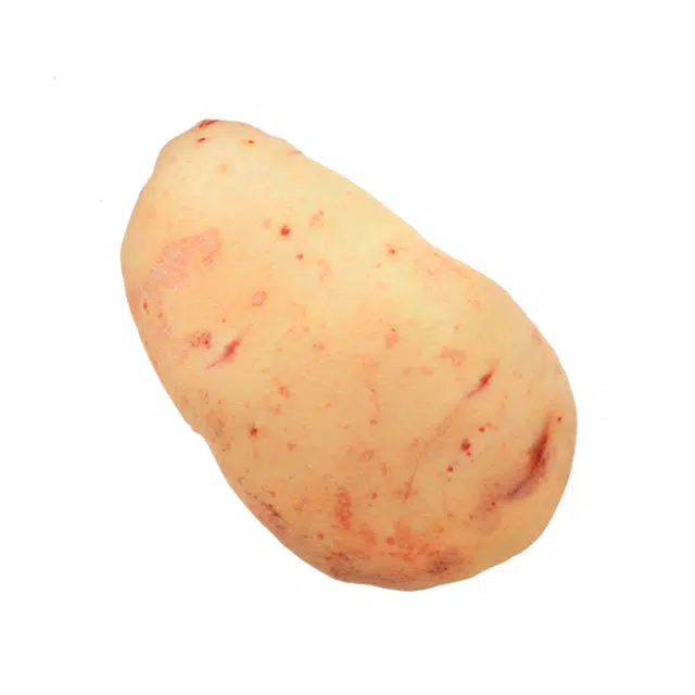 20cm