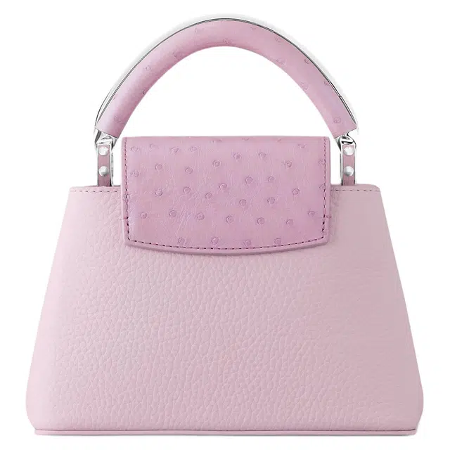 LOUIS VUITTON Capucines