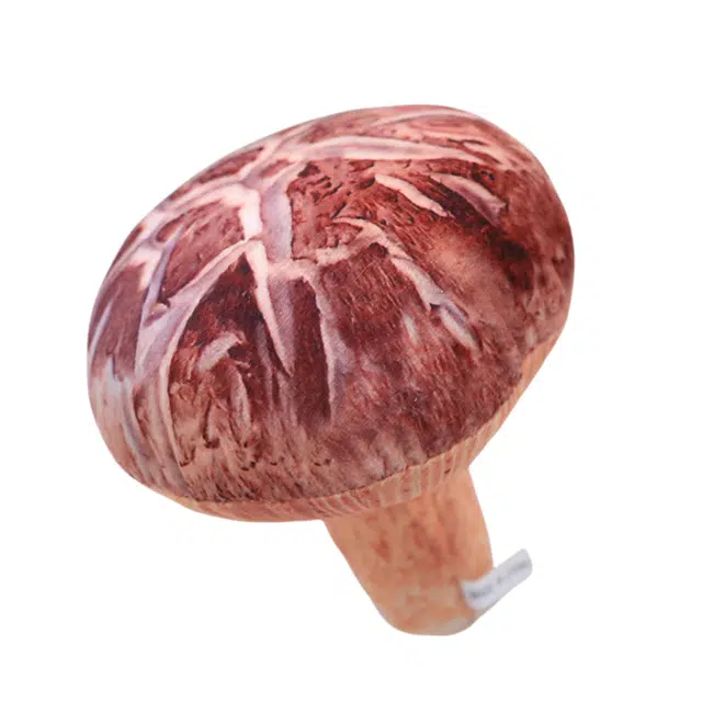 20cm