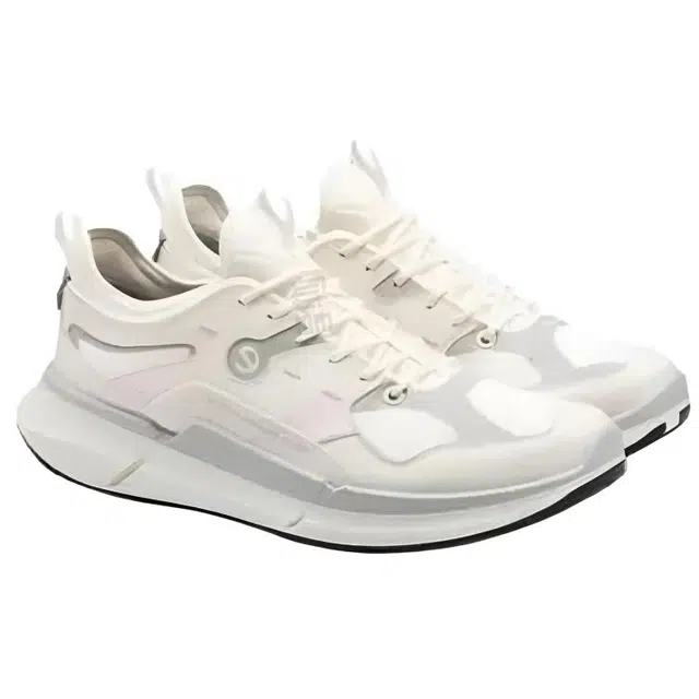 White Mountaineering x ecco Biom 2.2