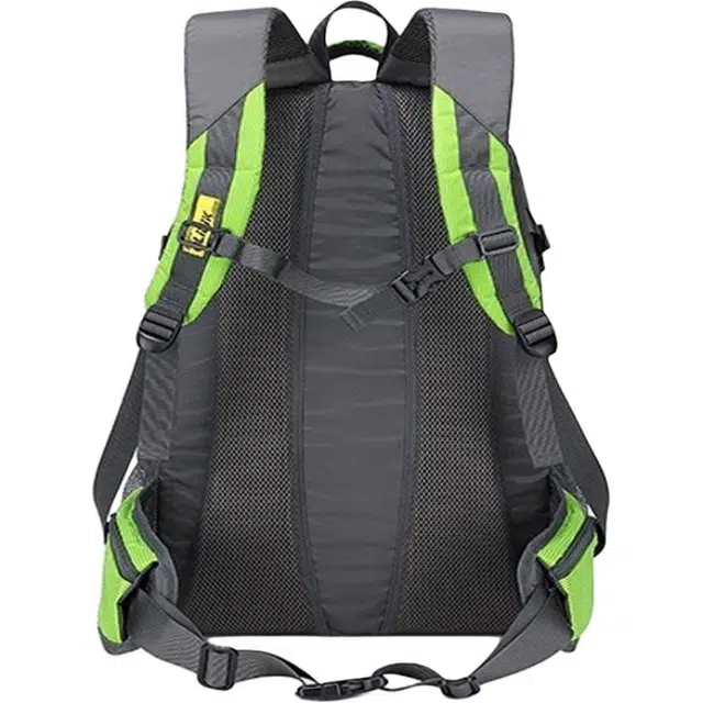 OLIDIK40L