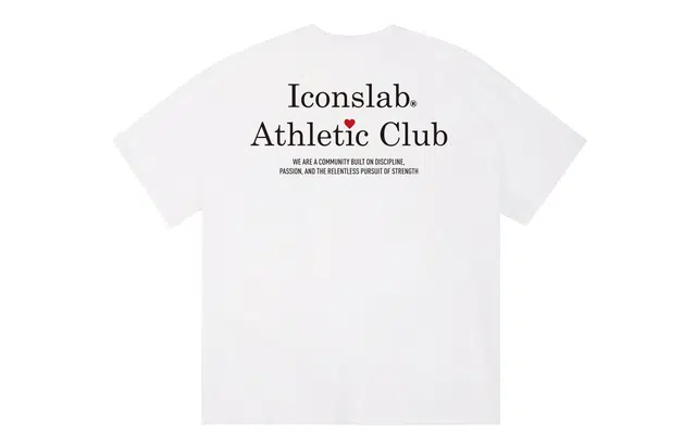 ICONS Lab ICS T