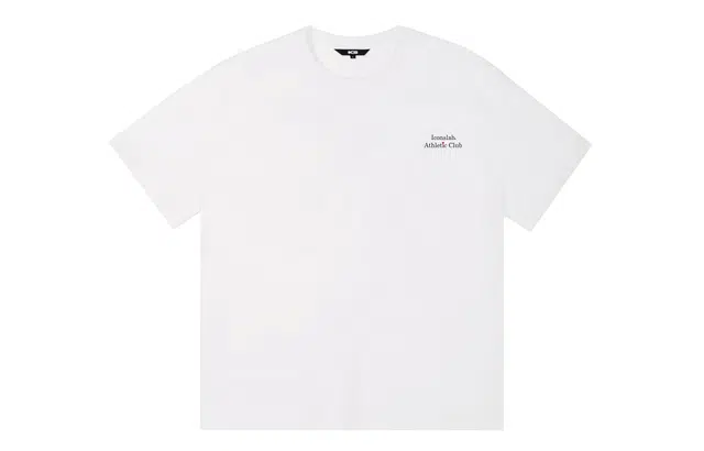 ICONS Lab ICS T