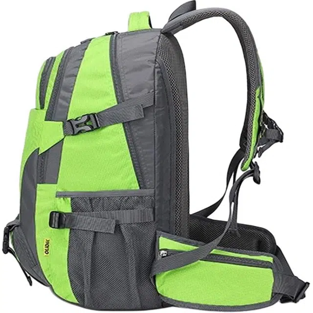 OLIDIK40L