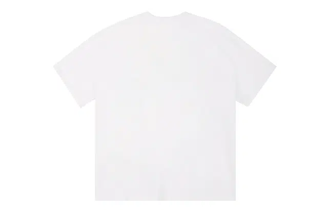 ICONS Lab ICS T