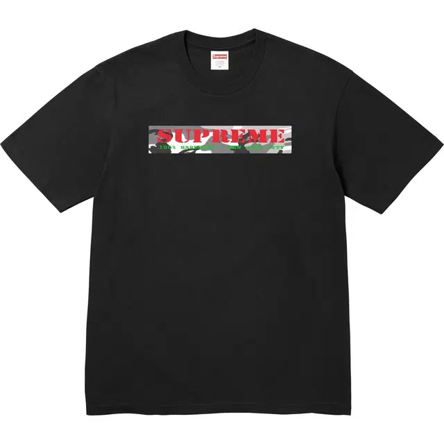 Supreme SS25 WEEK18 Summer Tee T Hardcore Tee logoT