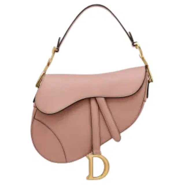 DIOR Saddle