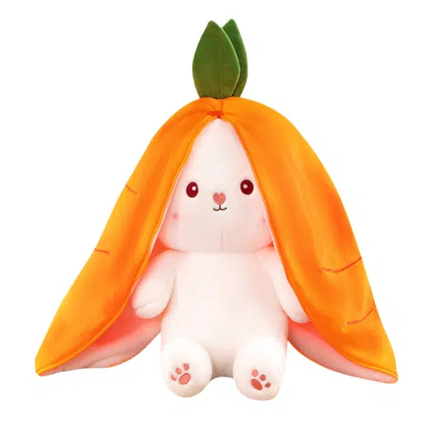 25cm35cm