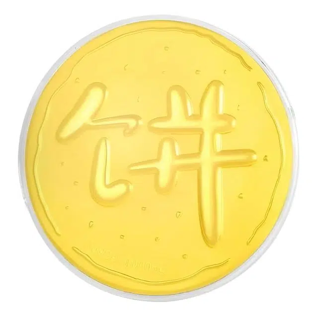 炽热 大饼摆件 浪漫甜蜜恋爱恋人饼 储蓄增值新中式复古国潮收藏#好运 金 挂件 男女同款情侣款