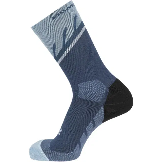 SALOMON 1