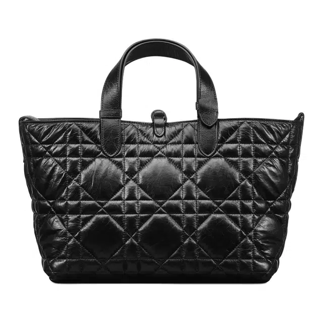 DIOR Toujours Tote