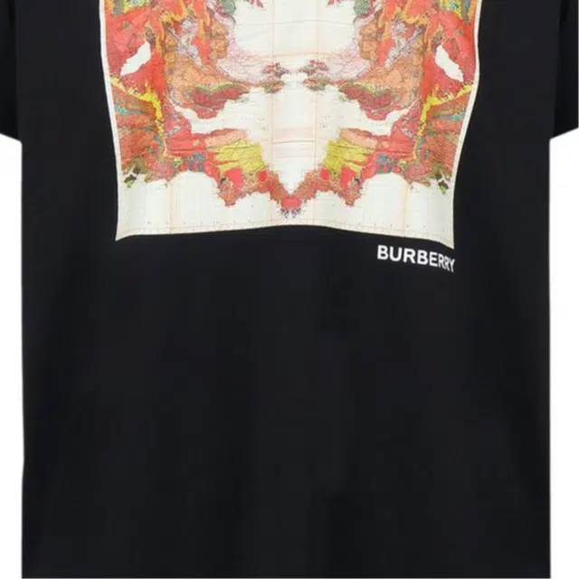 Burberry LogoT