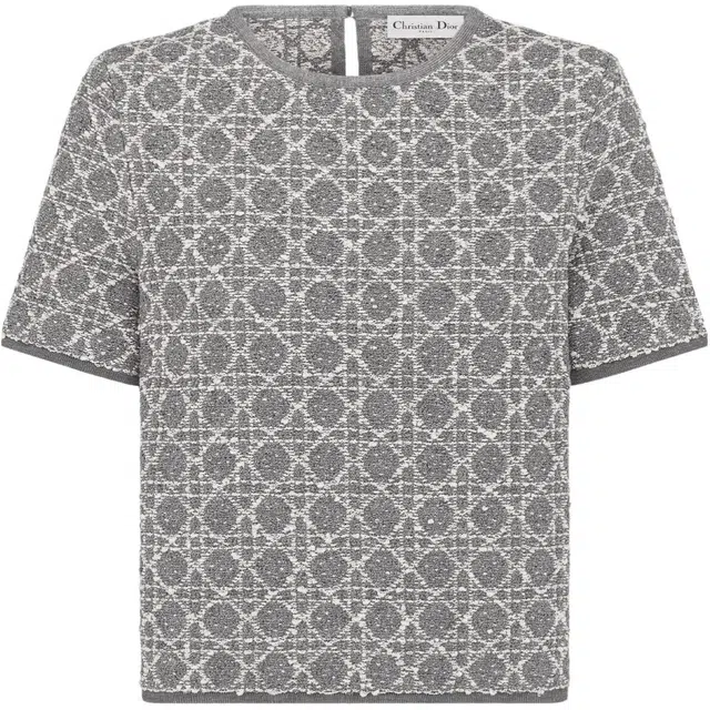 DIOR T