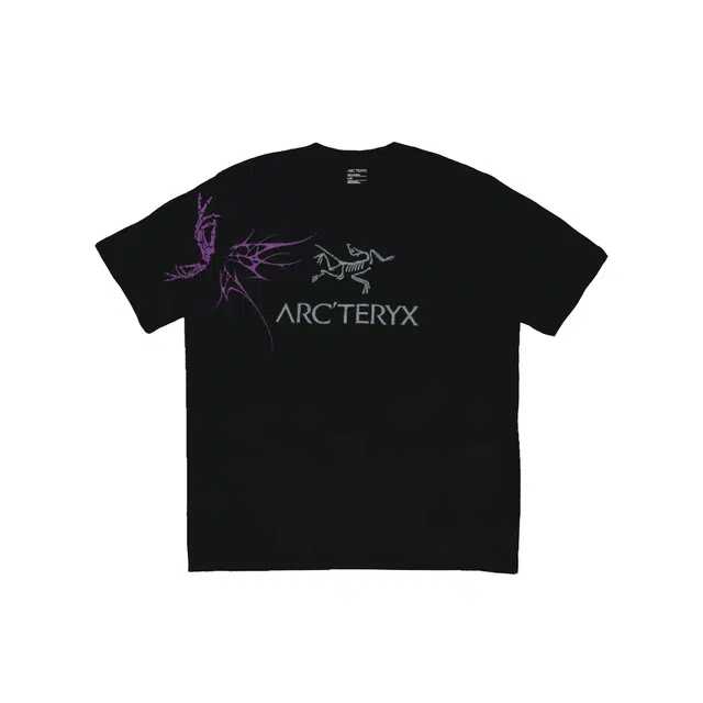 Arcteryx logoT
