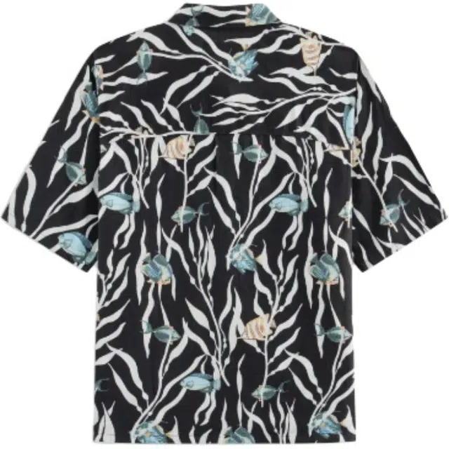 Hollister