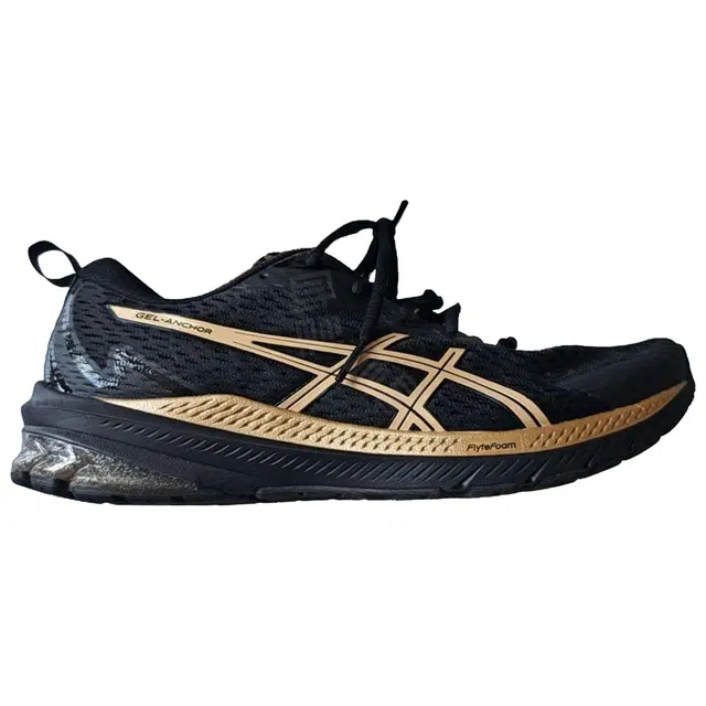Asics GT-2000 12