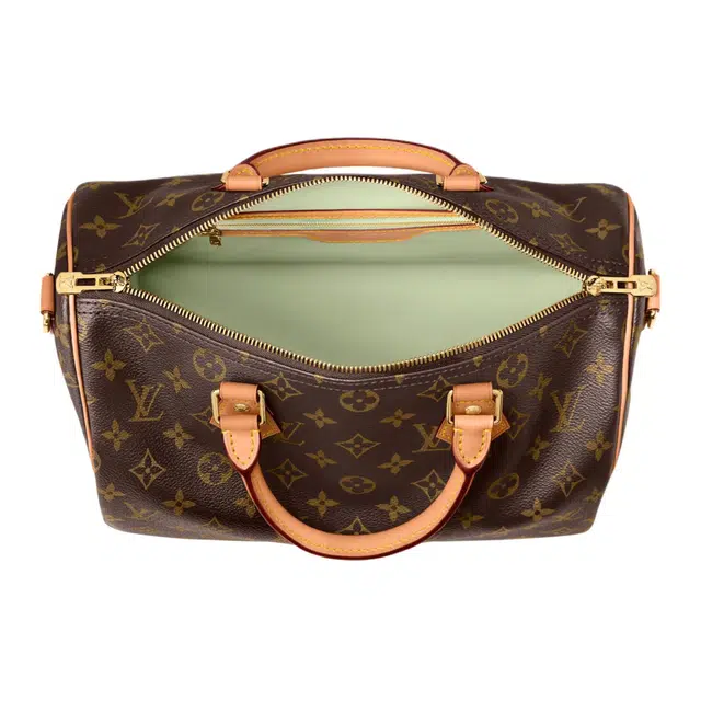 LOUIS VUITTON SPEEDY SOFT 30 Lucky Monogram