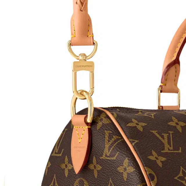 LOUIS VUITTON SPEEDY SOFT 30 Lucky Monogram