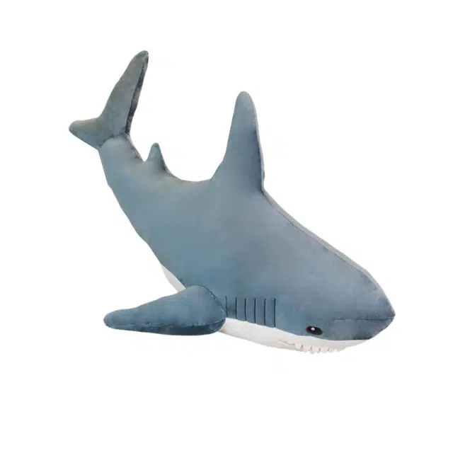 60cm100cm