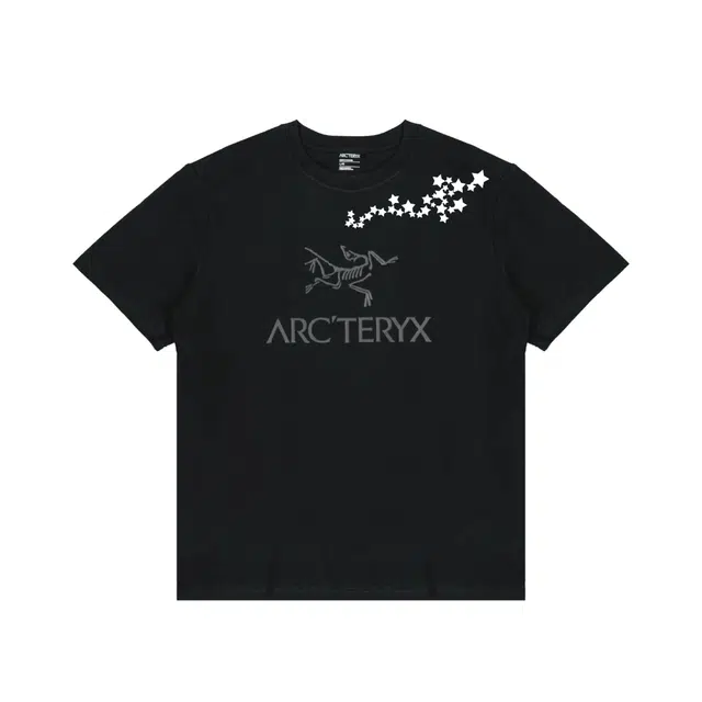 Arcteryx T