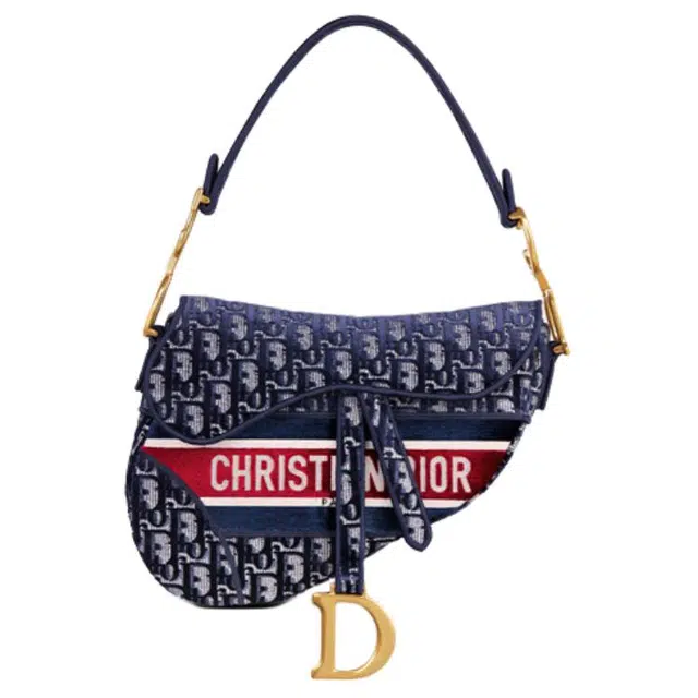 DIOR Saddle Oblique